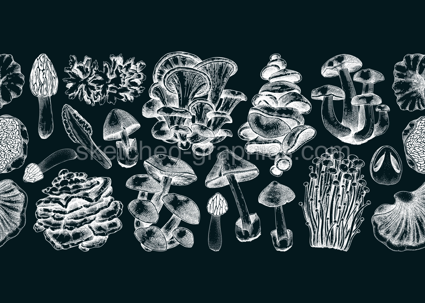 Mushrooms seamless pattern. Artistic autumn forest plant border. Fall background with edible fungi sketches. Hand drawn healthy food, fungal protein on chalkboard. Repeating design for print Illustration